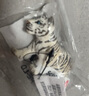 思乐（Schleich S）新年礼物仿真动物模型 老虎狮子狼豹白虎猞猁男女孩儿童玩具生日 白色老虎14731 实拍图
