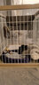 爱丽思（IRIS）狗围栏宠物笼子狗狗木质狗栅栏猫咪护栏大型犬泰迪用品 S号茶色【夏日套餐】 笼顶需加拍 实拍图