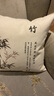 万燊中式抱枕靠垫套含芯梅兰竹菊客厅红木沙发靠枕书房茶室禅意靠垫 D款-菊 50x50cm(枕套+枕芯) 实拍图