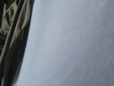 京东京造【重磅正肩T】240G高克重男士圆领T恤男纯棉夏短袖打底T 白色 XL 实拍图