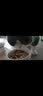 小李子德国猫罐头莱昂纳多无谷猫主食罐头猫零食猫罐头猫咪湿粮 经典家禽200g*10 实拍图