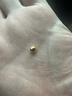 赛菲尔黄金小金豆足金999.9投资金攒金收藏存钱 单颗（带瓶子） 约1.0克 实拍图
