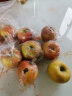 红富士苹果 高山脆甜苹果 新鲜水果 5斤装 晒单实拍图