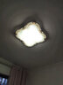 博勒宁灯饰（boleninglamps）LED客厅卧室吸顶灯改造灯板长条灯芯双色三色配驱动 可选带遥控 31cm（6W×4条）24W 三色变光（不带遥控） 实拍图