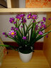 礼赫家饰蝴蝶兰仿真花假花摆设客厅餐桌花摆花绿植小盆栽室内外摆件装饰品 塑料紫色雏菊+仿瓷花瓶 实拍图