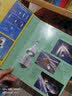 不可思议的宇宙任务月球基地一本真实呈现全程讲述宇宙任务的3D立体书，高清实景图片月球知识启蒙英国纸艺大师7-10岁  实拍图