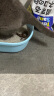 莎美特（Sanmate） 膨润土矿石猫砂低尘除臭10L宠物猫沙盆用 经典膨润土10L（7.5kg） 晒单实拍图