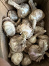 农多鲜河南干蒜新鲜正宗紫皮大蒜 多瓣蒜当季新鲜农产品蔬菜 净重3斤中果 实拍图