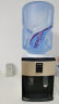 九阳（Joyoung） 饮水机 家用小型迷你制热型冷热多用型台式饮水机桌面饮水器 JYW-WS100 温热型 晒单实拍图