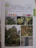 300种常见园林树木识别图鉴 实拍图