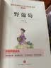 野葡萄/快乐读书吧二年级 爱阅读课中小学儿童文学名著 葛翠琳 进过天堂的孩子等8篇 开学季 实拍图