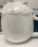 南山先生 招财猫马克杯带盖创意定制泡茶杯粗陶瓷茶水分离过滤高档便携 带过滤 禅风白+55°C智能恒温座 实拍图