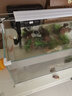 森森（SUNSUN）鱼缸水族箱超白玻璃水草缸造景桌面缸 超白500标配缸+假山造景 实拍图