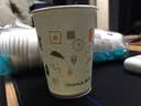 茶花（CHAHUA） 茶花一次性杯子纸杯热水杯加厚防漏防烫无蜡健康淋膜杯 225ML中号【100只】1包 实拍图