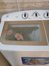 澳柯玛（AUCMA）8公斤半自动波轮洗衣机 玻璃面板大容量双缸双桶 洗脱分离脱水甩干机租房宿舍家用 XPB80-2128S【钢化玻璃面板】 强劲动力 实拍图