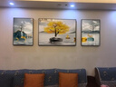轩棠树客厅装饰画沙发背景墙挂画三联壁画北欧轻奢现代简约轻奢卧室墙画 一帆风顺-01款 左右35*50中50*70cm晶瓷画 实拍图