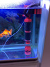 NY水族鱼缸三合一过滤器内置水妖精鱼粪便收集器分离器循环泵反气举鱼马桶 N612-多功能过滤桶-连接电源 15-35W 静音潜水泵 实拍图