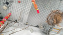 凯都灯饰轨道灯LED射灯服装店大瓦数展厅高亮商用店铺背景墙二线轨道射灯 白壳 30W 中性光-三只装+1米轨道 实拍图
