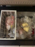 先科（SAST）小冰柜 家用小型迷你冷柜冷藏冰箱母乳柜保鲜冷冻柜储奶节能 BD/BC-75S138L电脑减霜款 实拍图
