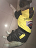 楚克奇（CHUKCHI）大狗衣服冬装加厚棉衣四腿大型犬连帽宠物服装金毛边境德牧萨摩 黄色 34#背75cm胸95-100cm颈58cm 实拍图