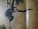 易元吉：蛛网攫猿图 猫猴图/中国绘画名品 实拍图