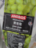 ANDROS颗粒水果酱果溶果茶面包酸奶伴侣冲饮烘焙奶茶原料安德鲁1kg/袋 青葡萄 1kg/袋 实拍图