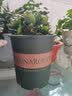 绿植花盆新款加厚加仑盆 植物花盆 欧式阳台花盆盆栽圆形绿萝 16cm矮胖【含盆】 特大 实拍图