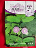 花友秀 花卉种子 四季种植 家庭阳台 园艺休闲  含羞草花卉种子1克 约150粒 实拍图
