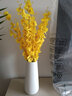 木子西年 陶瓷花瓶摆件 简约日式雪花釉水培花器 客厅电视柜家居装饰品 瑾萱白色大号+7支黄色跳舞兰 参考详情 实拍图