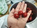 玲珑圣女果釜山88小番茄5斤樱桃小柿子迷你孕妇水果西红柿新鲜FF 4.5（带箱5斤） 实拍图