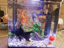 森森（SUNSUN） 鱼缸水族箱金鱼缸带灯鱼缸过滤器玻璃鱼缸桌面鱼缸 黑色 高清玻璃HR-230+造景一（带18件） 实拍图