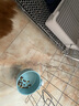 憨憨宠 猫咪自动喂食器挂碗悬挂饮水器猫碗狗碗小型犬粮投食器宠物用品 悬挂喂水器+粮食碗【带零食碗】 实拍图