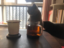 言和堂陶瓷过滤泡茶杯带防水保温加热多功能垫家用办公赠乔迁生日礼物 瑞鹤玻璃过滤泡茶杯-雅黑 实拍图