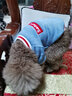 拉维佩特（LOVINGPET）泰迪狗狗衣服冬天 羊羔绒宠物衣服小型犬冬季比熊衣服幼犬猫衣服 蓝灰色 L 建议10-12斤 实拍图