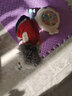 喵先生 宠物狗狗衣服小型犬泰迪衣服冬季狗衣服小狗幼犬衣服四脚棉 红色格子四脚裤S码 建议3-5斤内 实拍图