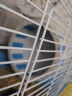 宠尚天 仓鼠跑轮玩具金丝熊跑步机用品跑球运动 星轨跑轮21.5cm -蓝 实拍图
