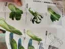 美术入门基础教程：水粉、水彩、彩铅画（套装3册） 实拍图