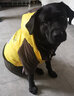 楚克奇（CHUKCHI）大狗衣服冬装加厚棉衣四腿大型犬连帽宠物服装金毛边境德牧萨摩 黄色 34#背75cm胸95-100cm颈58cm 实拍图