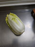 密水农家新鲜自种三宝白菜 500g 新鲜时令蔬菜 小颗白菜 绿叶类蔬菜 实拍图