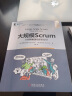 大规模Scrum：大规模敏捷组织的设计 实拍图