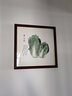 紫腾随轩白菜装饰画餐厅挂画新中式客厅沙发背景墙画饭厅墙面壁画 百财 40*40cm红木色实木框 实拍图