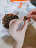冠君 麻辣田螺熟食螺蛳螺丝肉即食罐装海鲜制品香辣儿时怀旧零食剪尾 1罐*250g 【量少】 实拍图