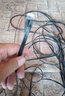 绿联（UGREEN）六类网线 CAT6类千兆八芯双绞扁平跳线8芯 电脑宽带家用工程装修电脑宽带成品监控网线 黑色六类扁线 20米 实拍图