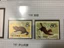 四地收藏品  T字头系列邮票 T49-T72  套票  邮票 收藏 T68 紫貂 套票 实拍图