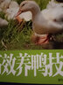 高效鸡鸭鹅养殖技术 养鸡 养鸭 养鹅书籍 新农村家畜家禽饲养管理与疾病预防 农业畜牧猪牛羊养殖书籍大全 实拍图