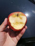 旷古农业云南昭通丑苹果 冰糖心苹果新鲜水果当季现摘整箱脆甜 9斤16-18个 实拍图
