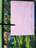 三星（SAMSUNG）Galaxy Tab S9 Ultra X910/X916 14.6英寸平板电脑2023款 骁龙8Gen2游戏办公网课 云影灰 WIFI版【12G+256G】 官方标配 实拍图