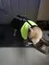 SLPC狗狗衣服中小型犬柯基泰迪保暖冬装博美小狗棉服马甲金毛大狗衣服 绿 4XL建议25到40斤 实拍图