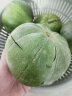 山东博洋9号甜瓜博洋九号香瓜新鲜绿宝石水果脆瓜时令当季头茬瓜 净重4.8斤（大果6个左右） 实拍图