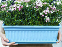 九千谷种菜盆种花盆蓝色种植箱 1个装长方形树脂花盆 49*20cm带托盘3682 实拍图